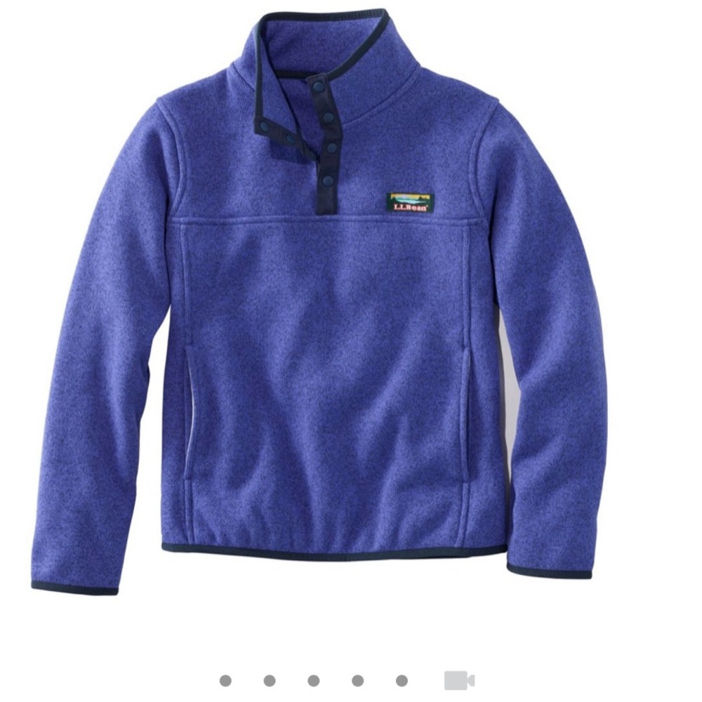 L.L.BEAN PURPLE FLEECE PULLOVER
